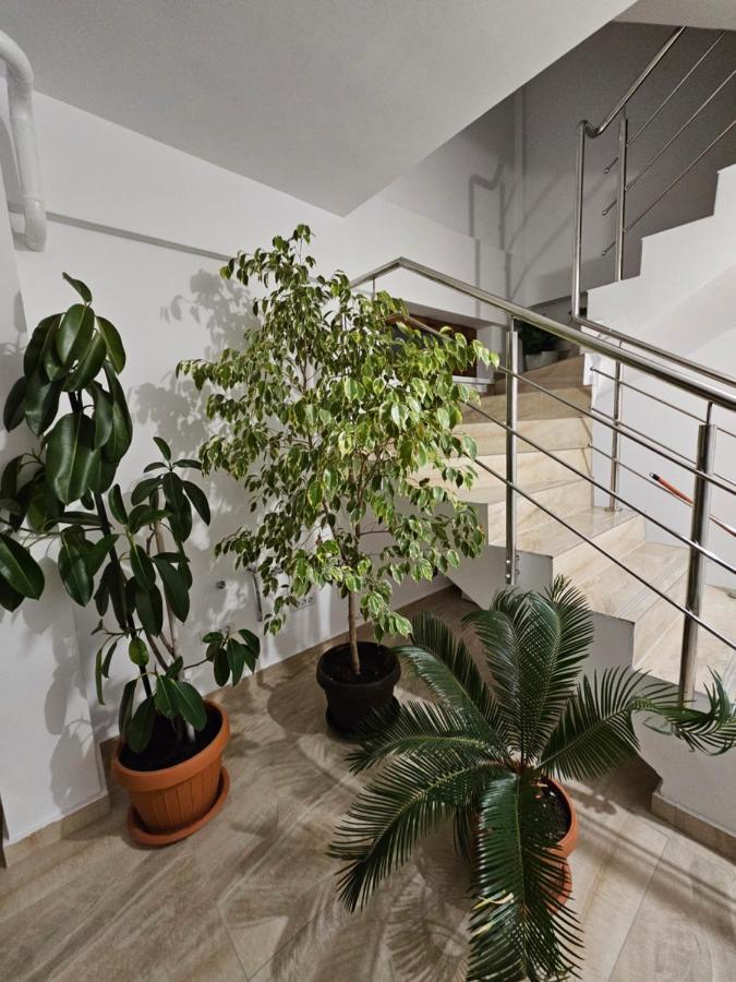 Didi Apartament Craiova Buitenkant foto