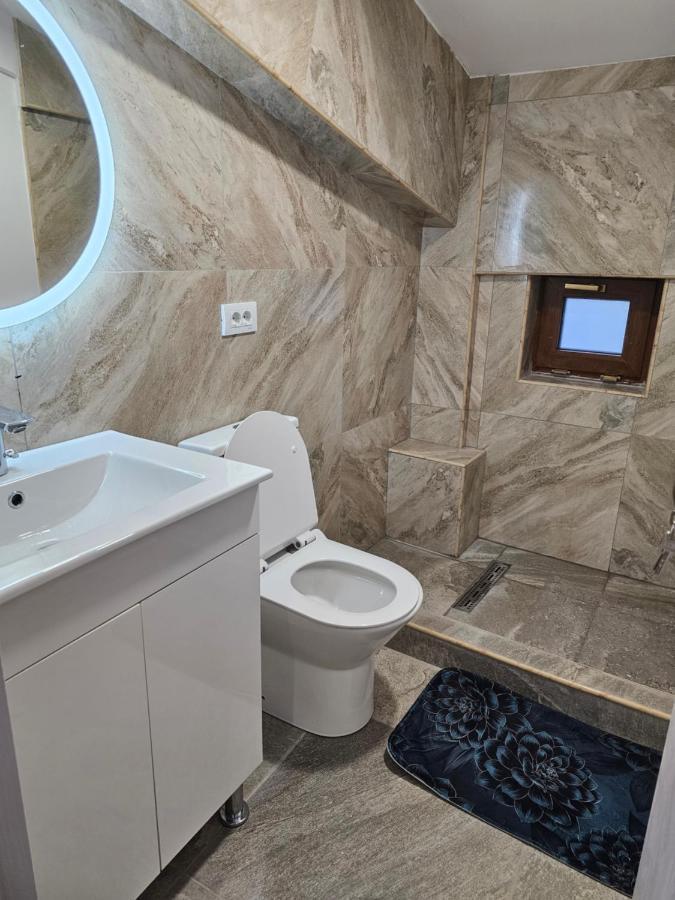 Didi Apartament Craiova Buitenkant foto